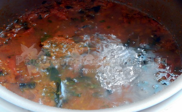 приготовить соус из помидоров и слив в мультиварке