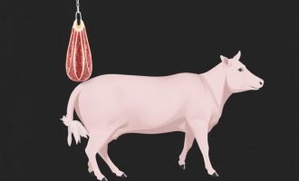 Как заказать идеальное мясо с доставкой и не прогадать: честный гид для тех, кто любит вкусно есть